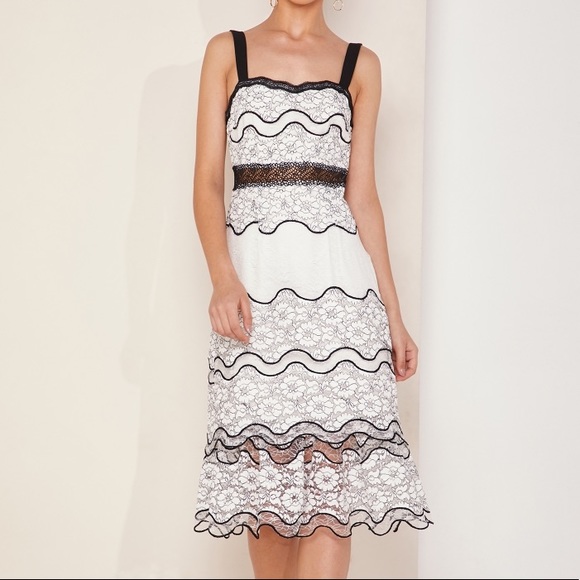 foxiedox Lumma Lace Black & White Midi Dress L - Picture 5 of 6